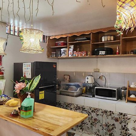 Balai Vivencio Hostel Puerto Princesa Екстериор снимка